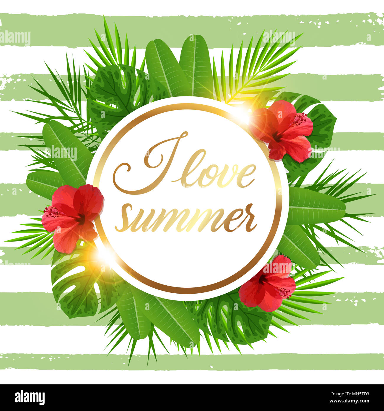 Summer tropical banner with green palm leaves, red hibiscus flowers and ...