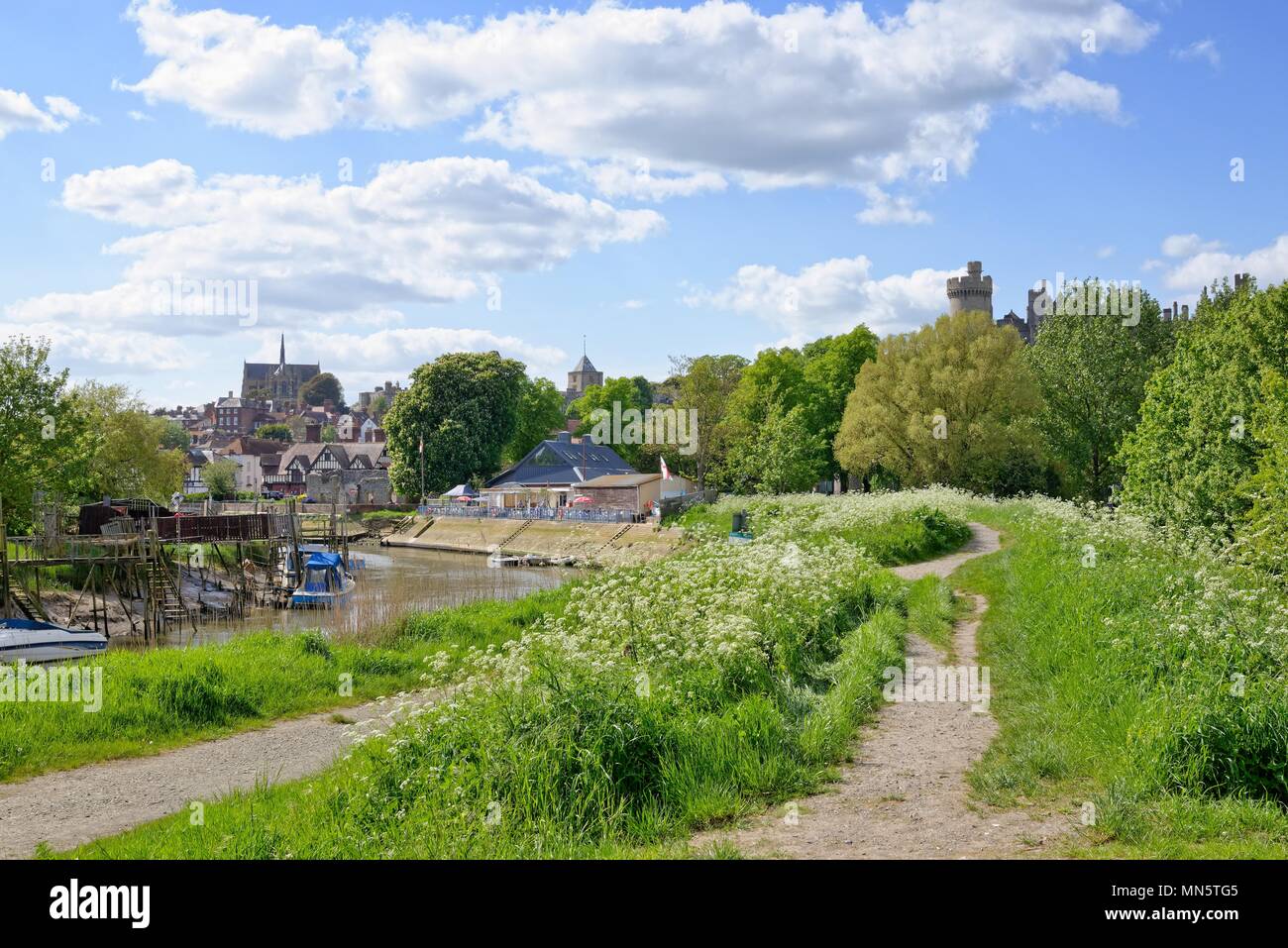 The River Arun at Arundel West Sussex England UK Stock Photo Alamy