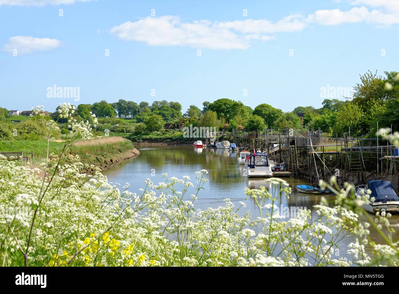The River Arun at Arundel West Sussex England UK Stock Photo Alamy