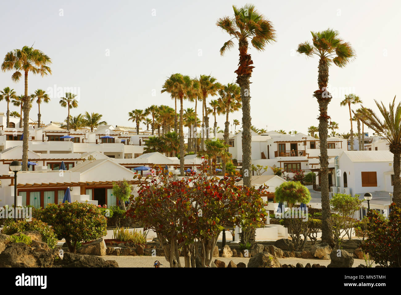 Resorts and manors houses with many tropical palm trees, Lanzarote, Canary Islands Stock Photo