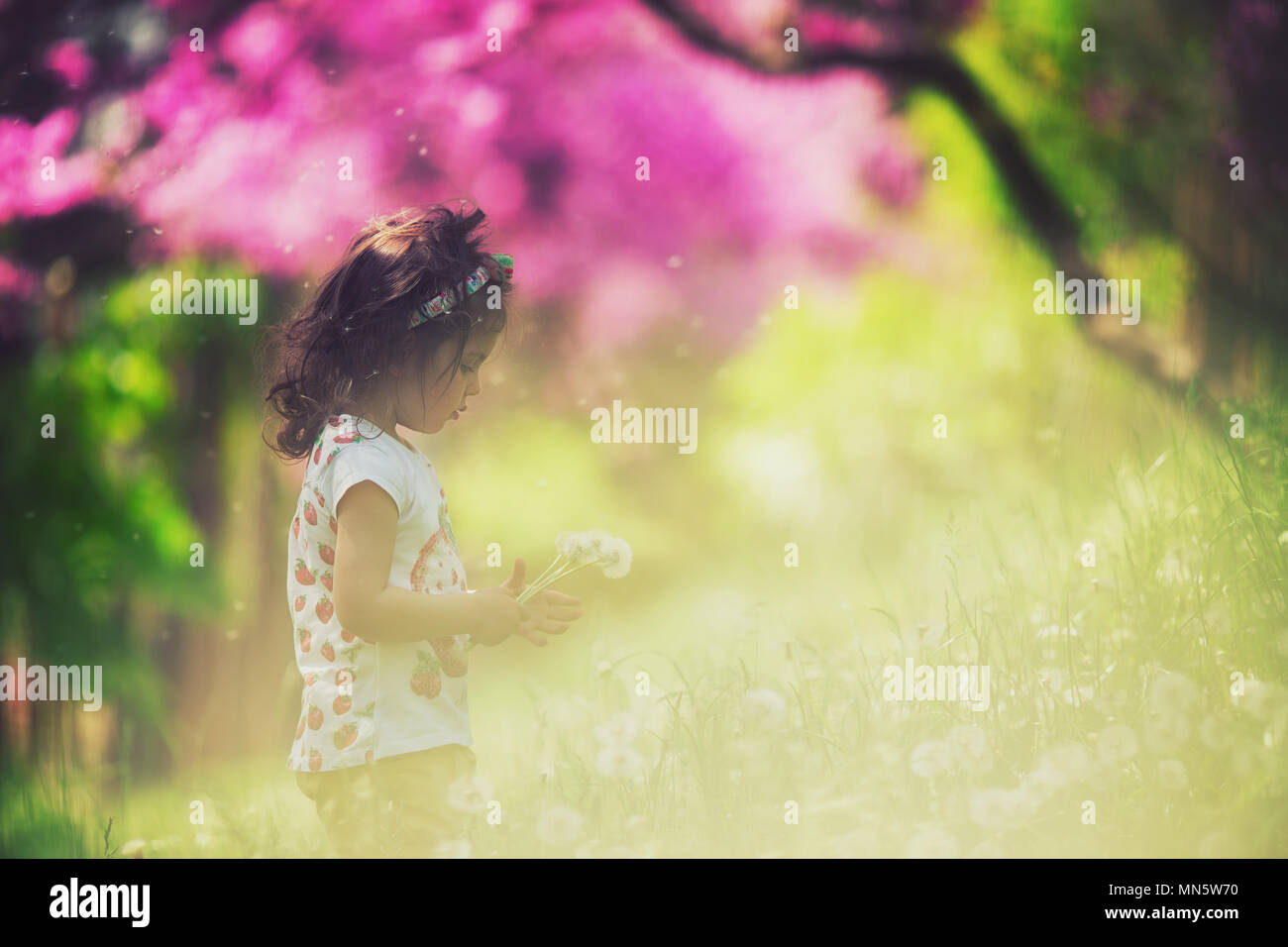 Beautiful child with dandelion flower in spring park. Happy kid having fun outdoors. Stock Photo