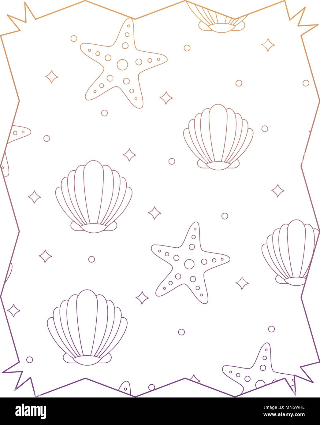 abstract frame with seashell and sea stars pattern over white background, vector illustration Stock Vector