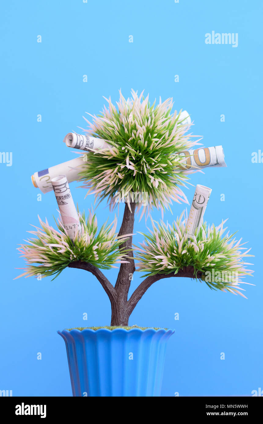 Money bills on the branches of a money tree on a blue background Stock