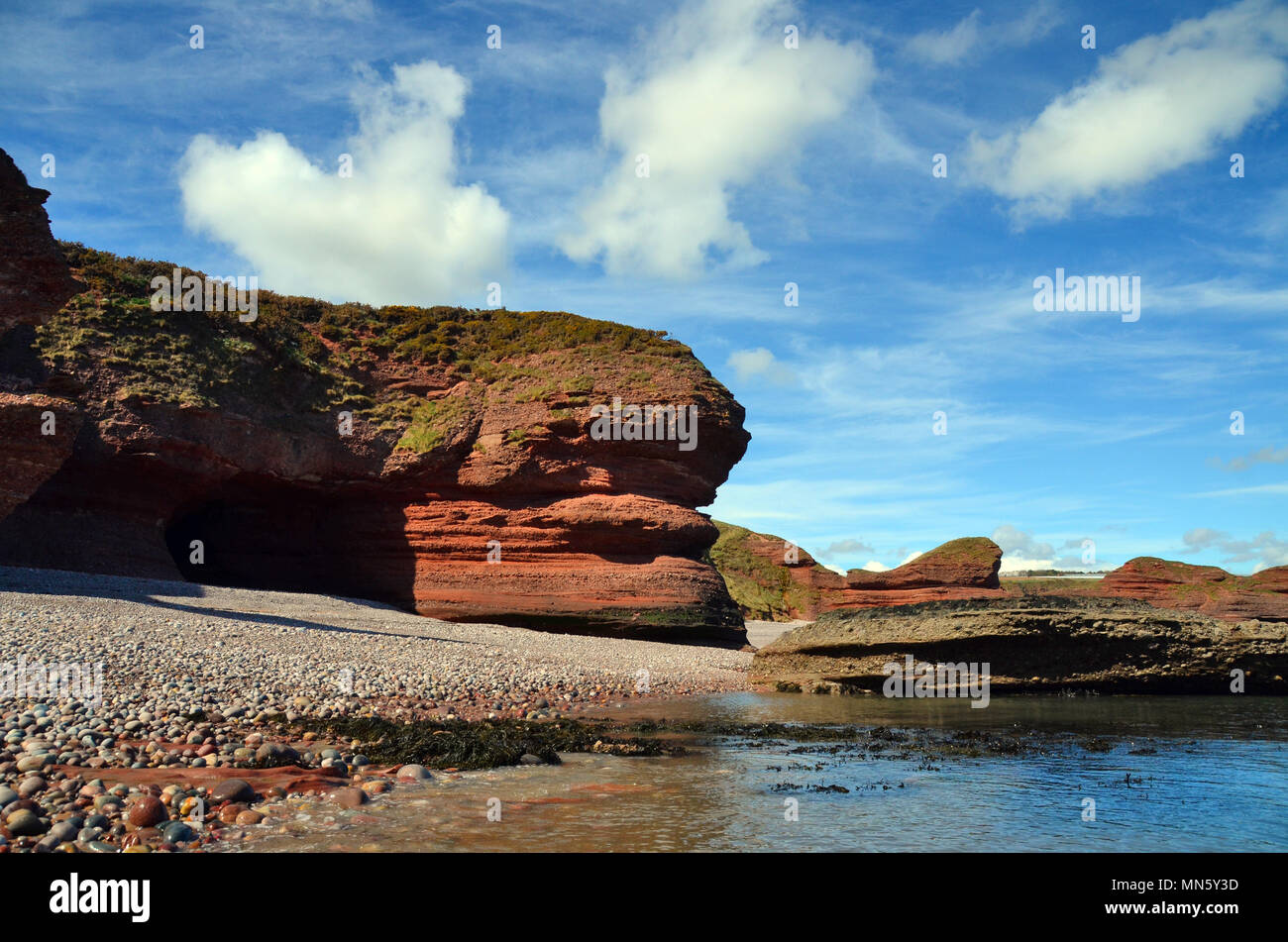 Red sandstone cliffs of the Seaton nature reserve at Arbroath, Angus Scotland Stock Photo
