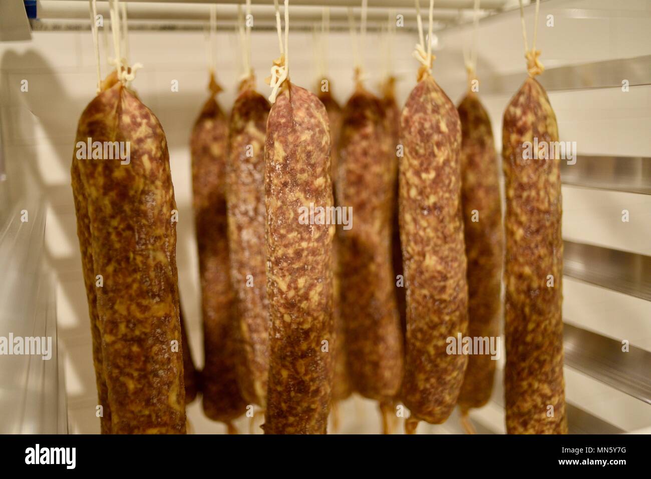 Sausage hanging and curing, house made, gourmet cured heritage Texas