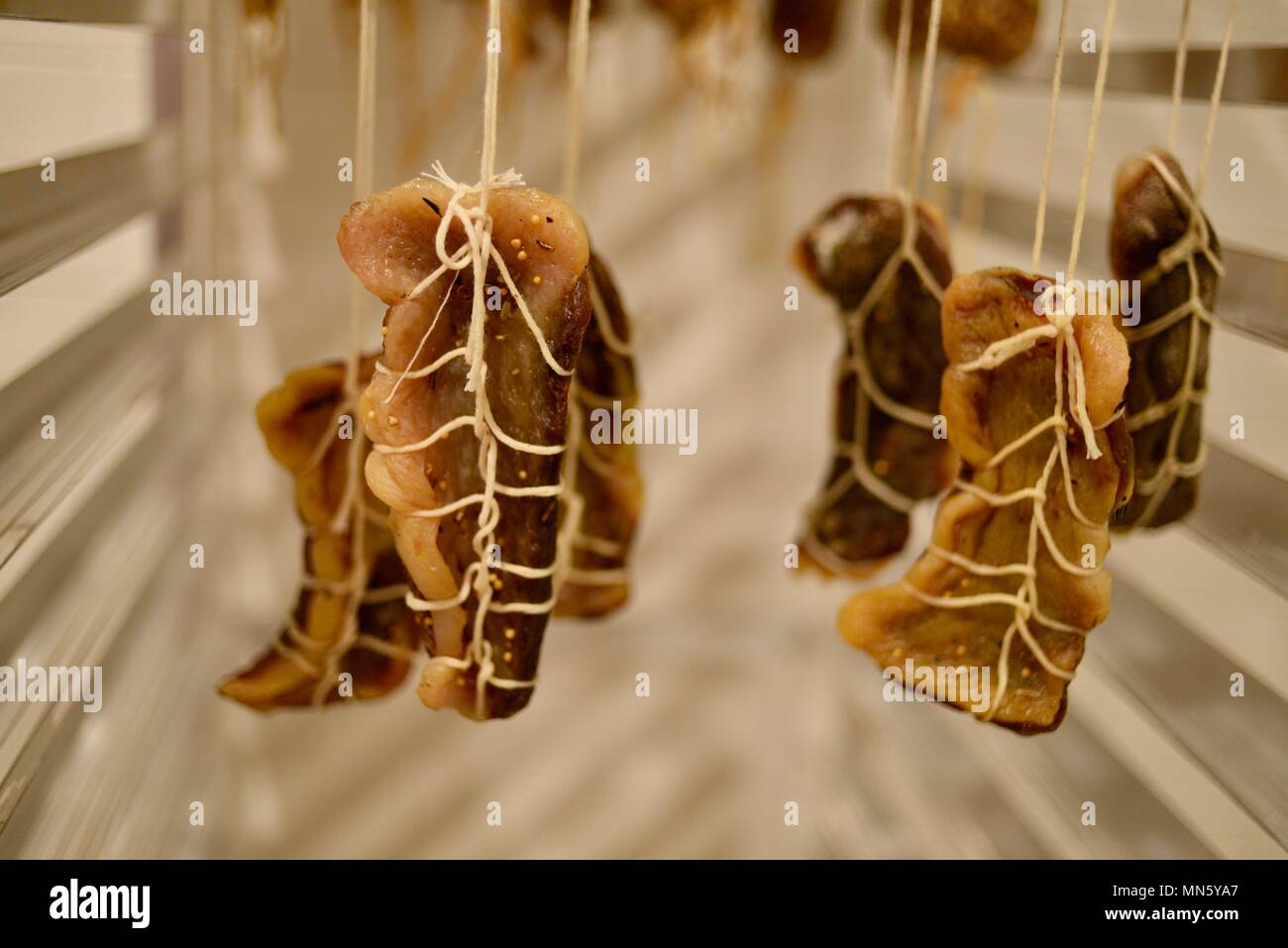 Sausage hanging and curing, house made, gourmet cured heritage Texas