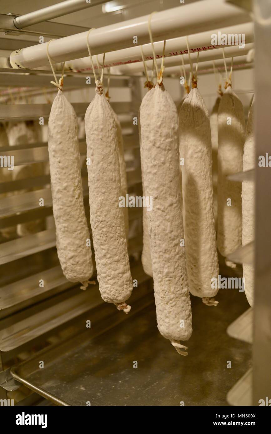 Sausage hanging and curing, house made, gourmet cured heritage Texas