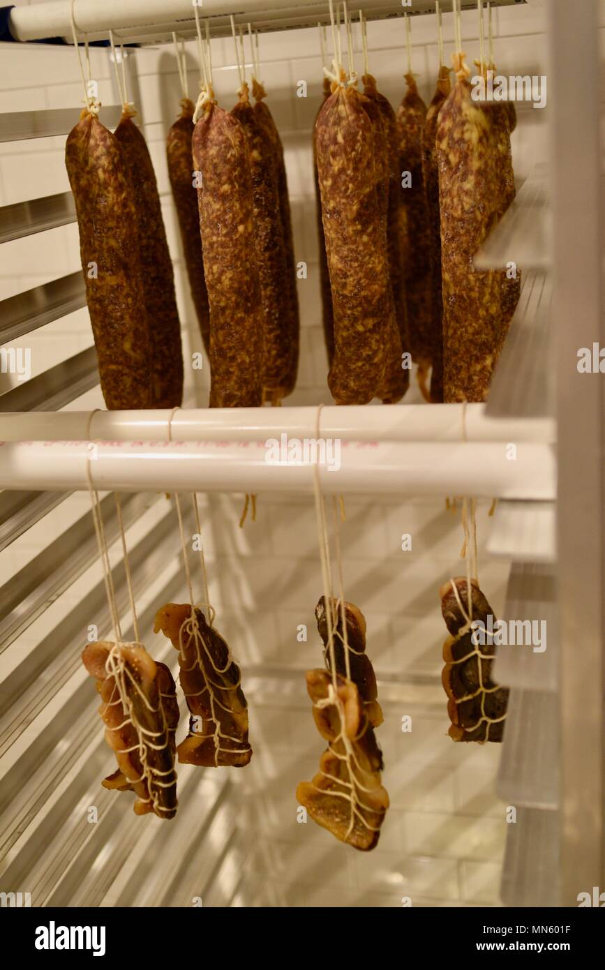 Sausage hanging and curing, house made, gourmet cured heritage Texas