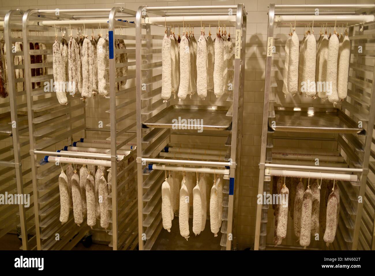 Sausage hanging and curing, house made, gourmet cured heritage Texas