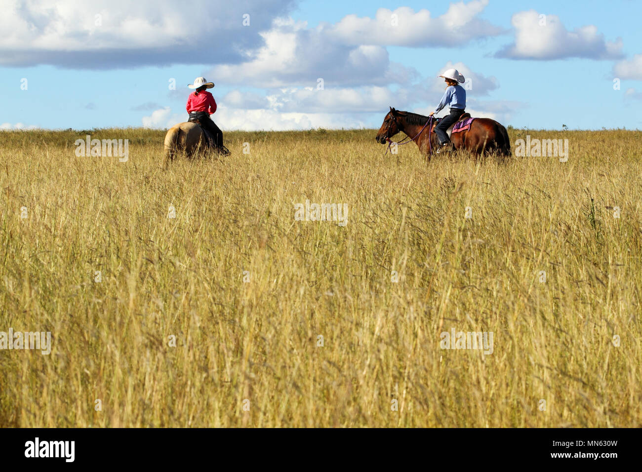 Two pre-teen girls riding horses in tall grass on a farm. Stock Photo