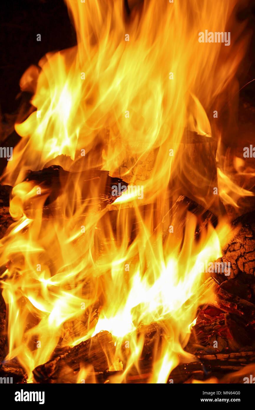 Camp fire cooking. Stock Photo