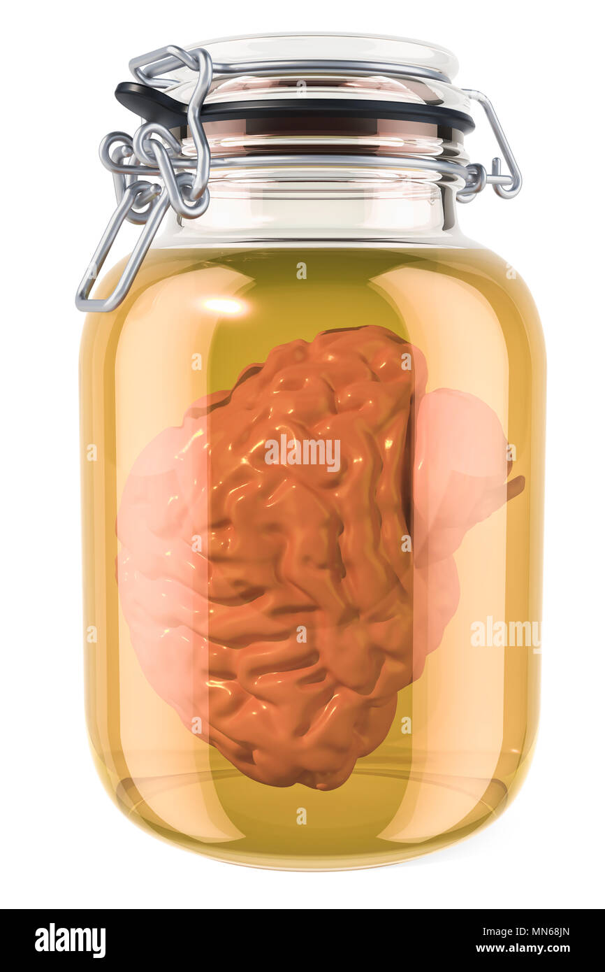 Human brain inside glass with liquid. 3D rendering isolated on white background Stock Photo