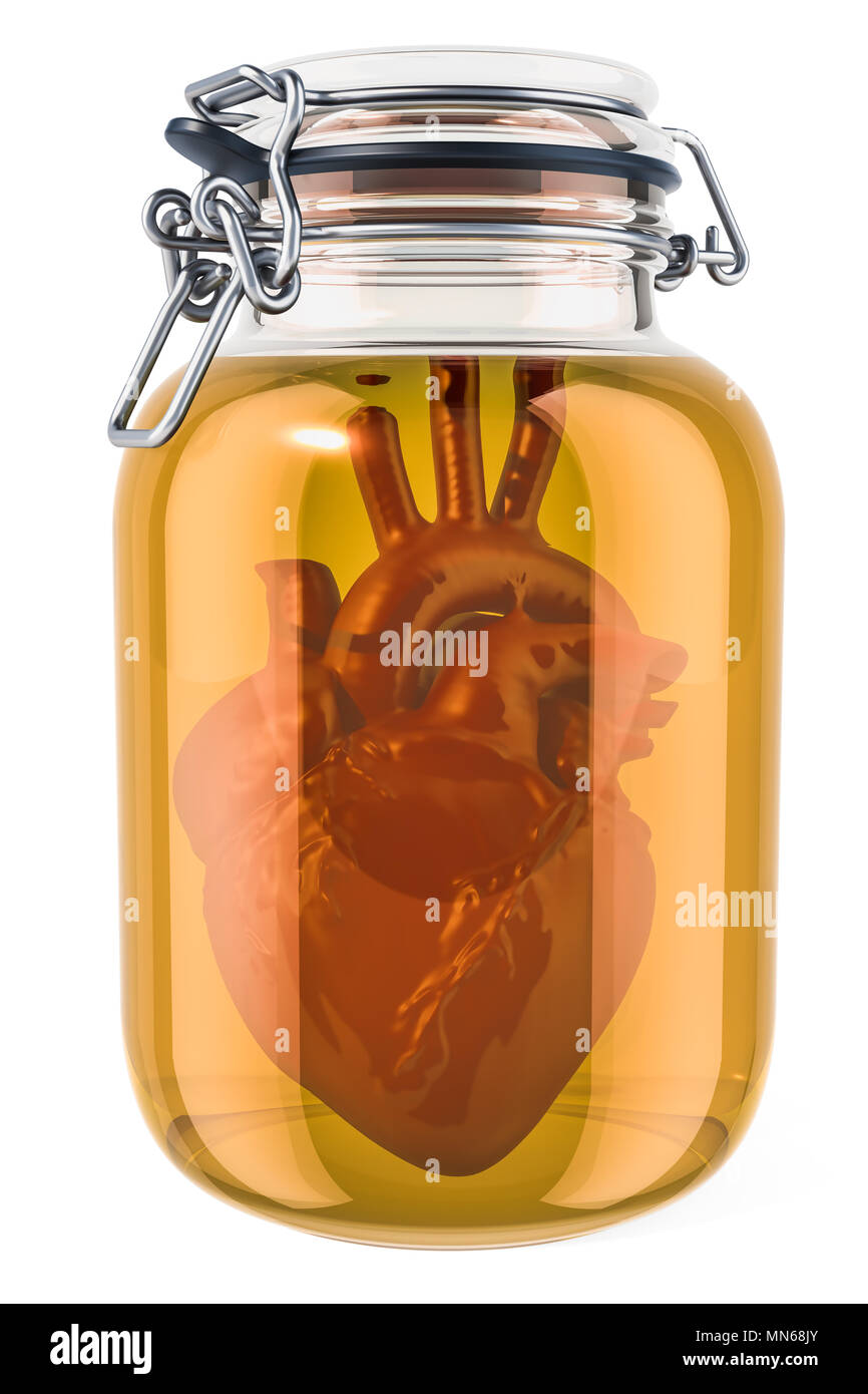 Human heart inside glass with liquid. 3D rendering isolated on white background Stock Photo