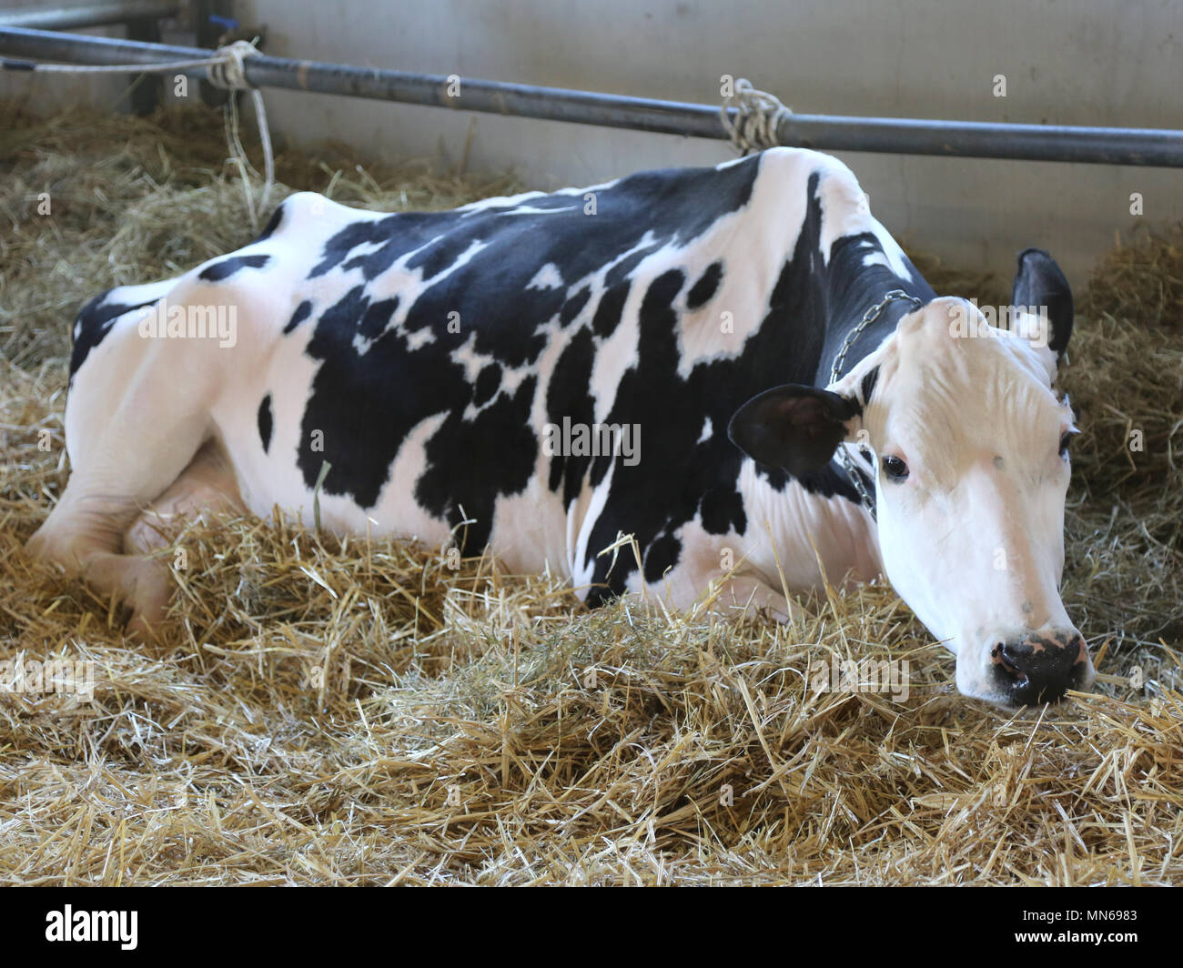 Sprawl farm hi-res stock photography and images - Alamy