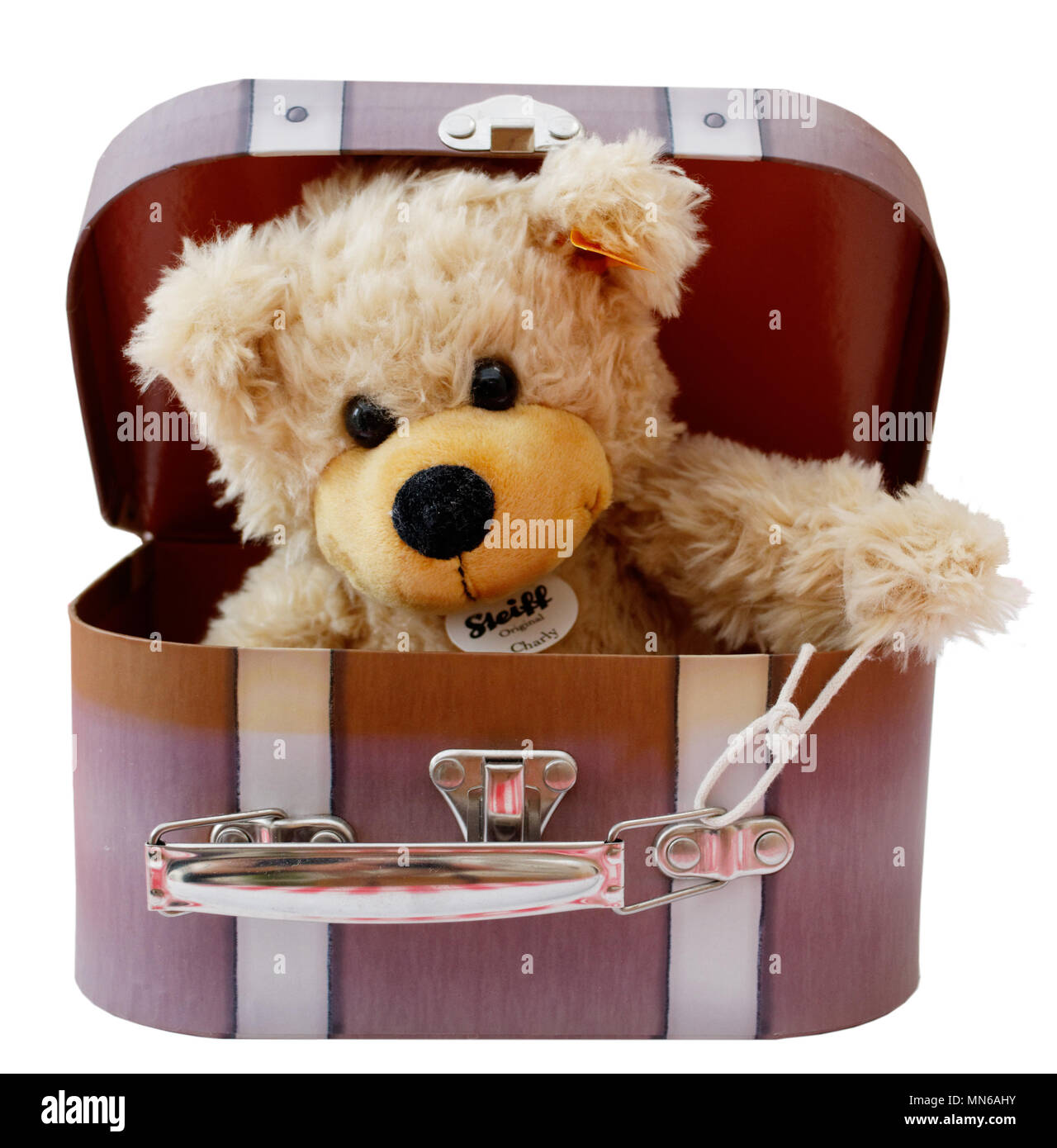 Steiff bear Charly in its travelling suitcase Stock Photo