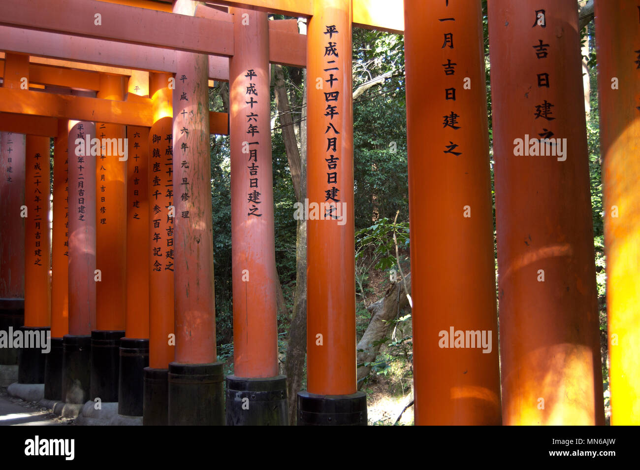Torii gates at Fushimi Inari Taisha shrine, Kyoto, Japan Stock Photo ...