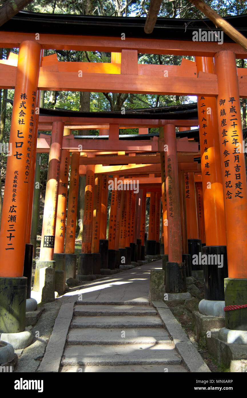 Torii gates at Fushimi Inari Taisha shrine, Kyoto, Japan Stock Photo ...