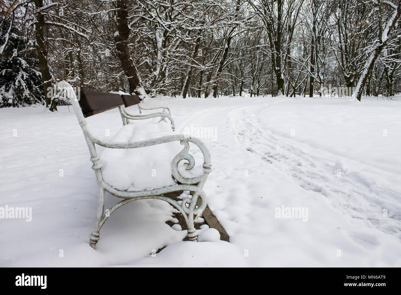 White bench covered with snow in front of the big city park Stock Photo ...