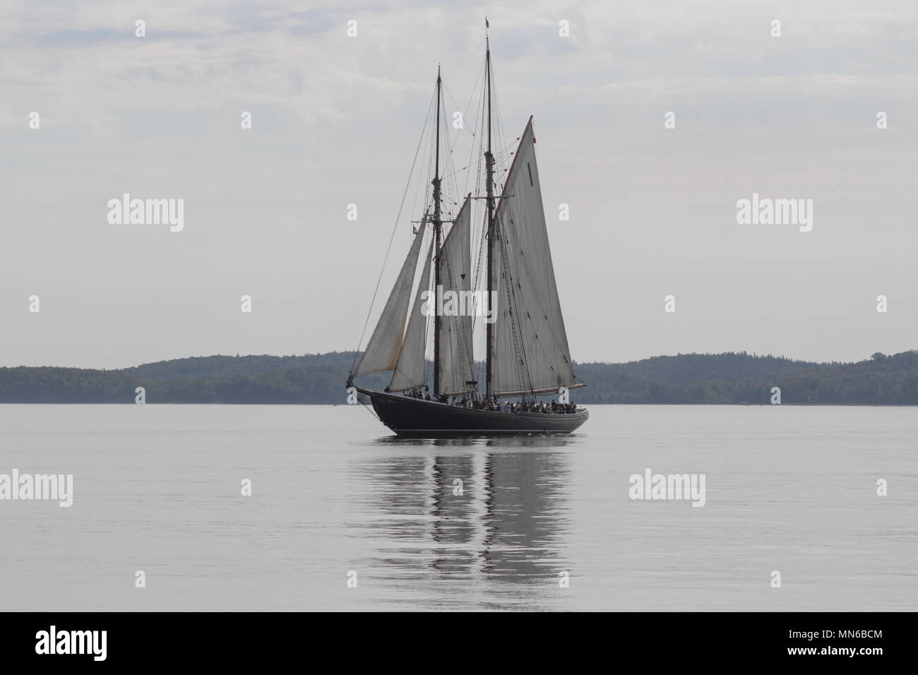 The Bluenose II sailing the Halifax Harbour, in Nova Scotia Stock Photo