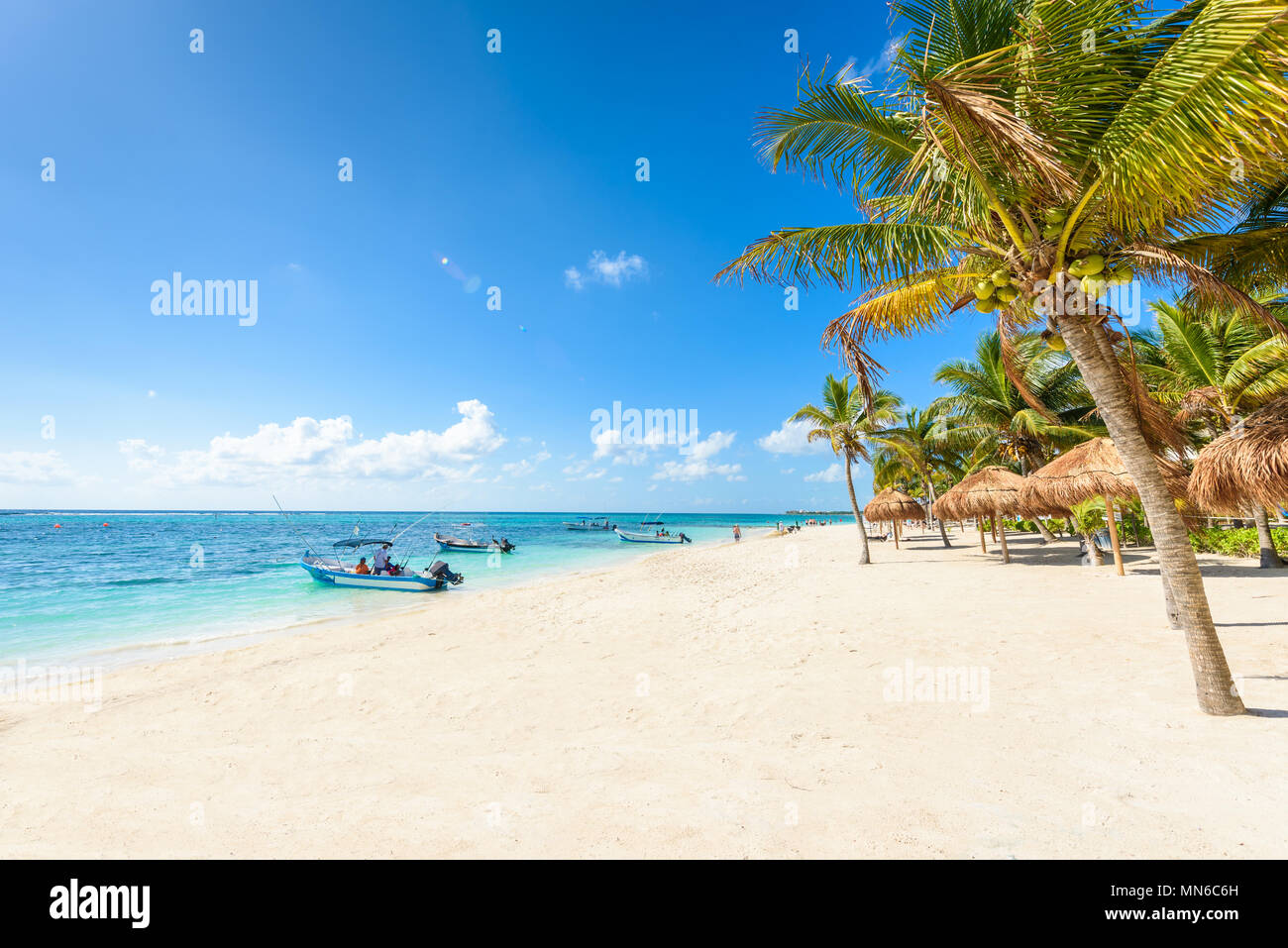 Akumal beach paradise bay Beach in Quintana Roo, Mexico caribbean