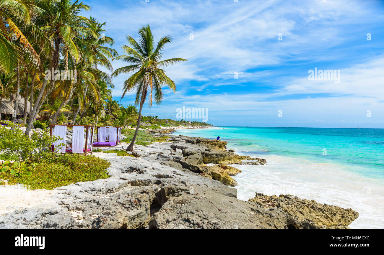 Beach beds under the palm trees on paradise beach at tropical Resort