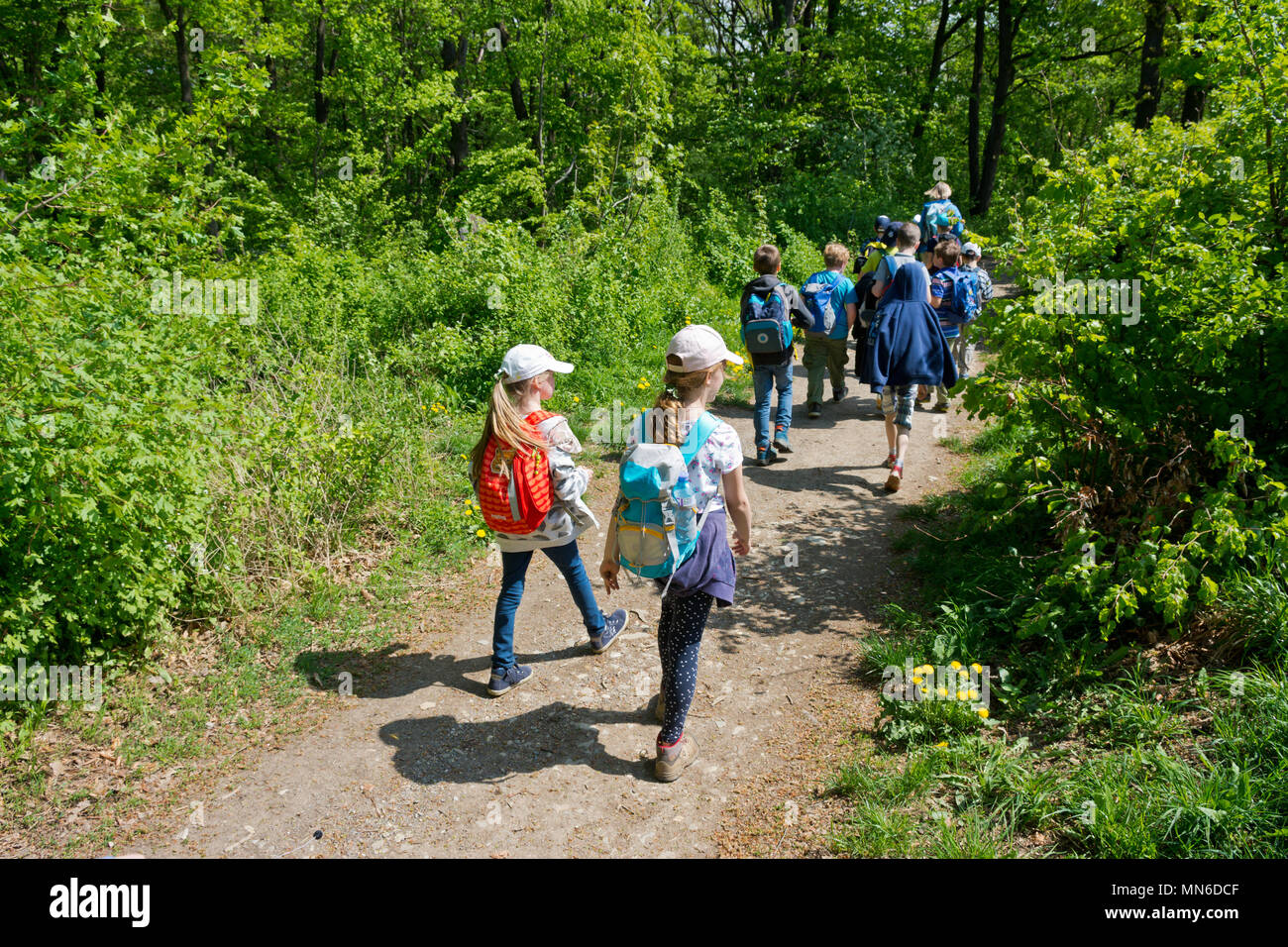Vienna, Austria - April, 2018: School class on a field trip in the forest of Vienna Woods. Children enjoy the outdoors on a sunny spring day. Stock Photo