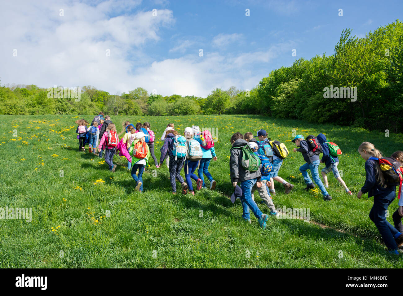 Vienna, Austria - April, 2018: School class on a field trip in a meadow of Vienna Woods. Children enjoy the outdoors on a sunny spring day. Stock Photo