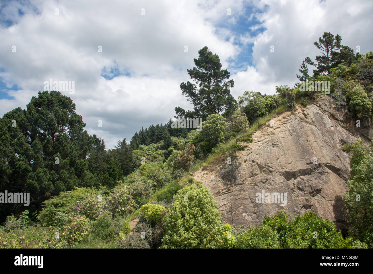 Rock face and lush greenery on mountainside under a blue sky with