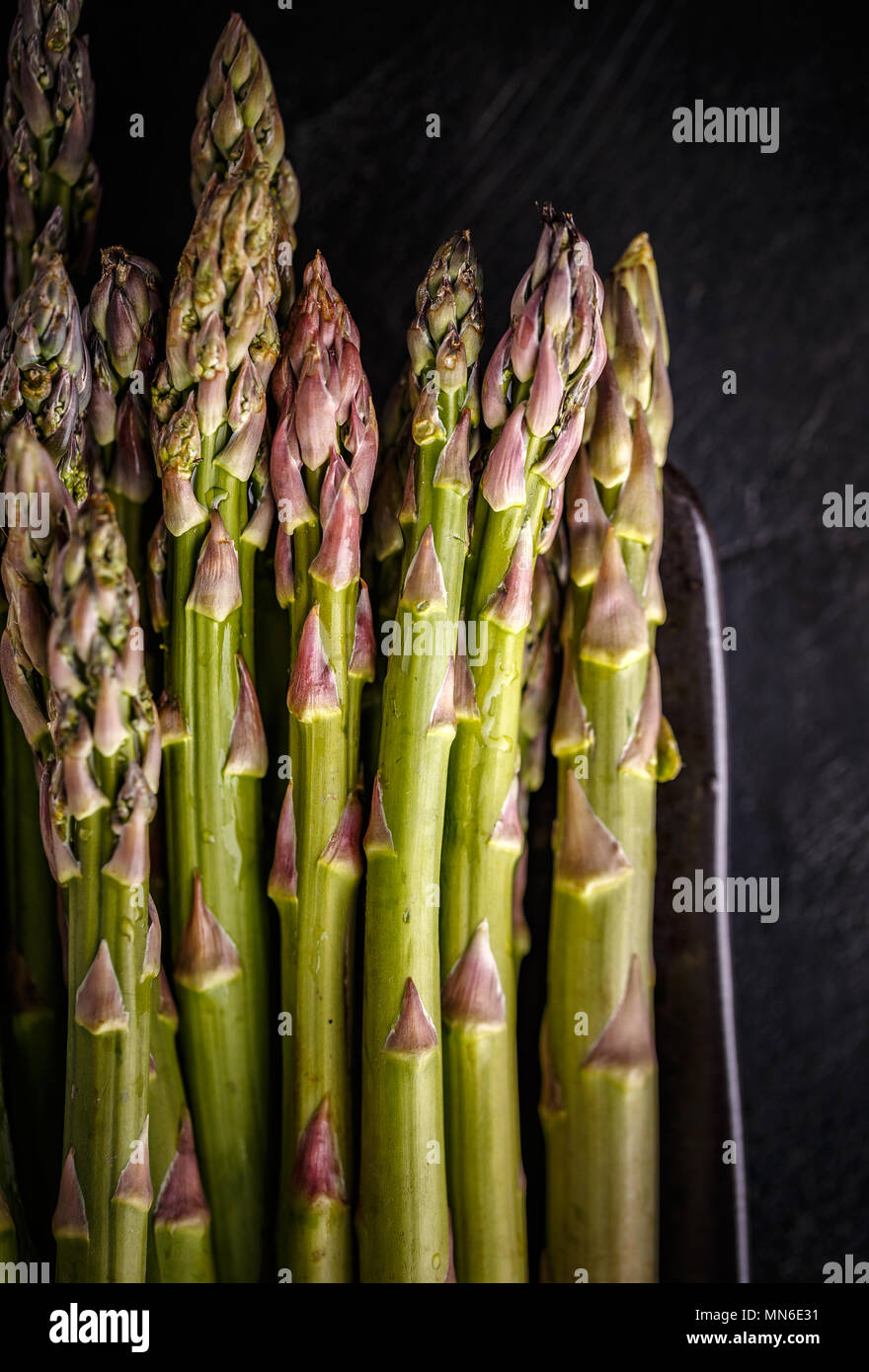 Fresh harvested asparagus on black background Stock Photo