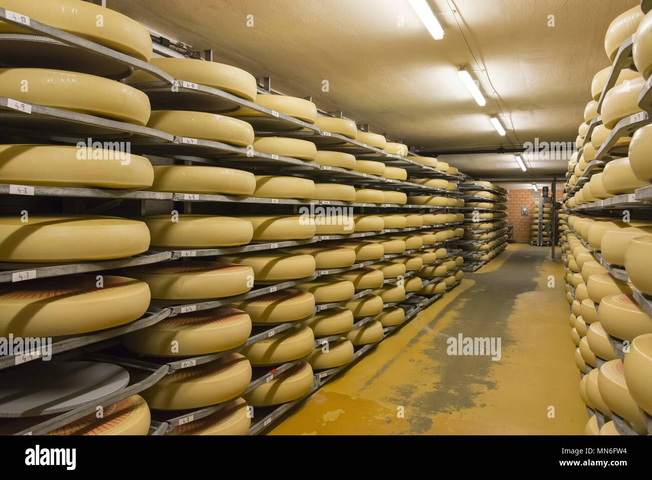Switzerland Emmental cheese factory June 2017 usage worldwide Stock