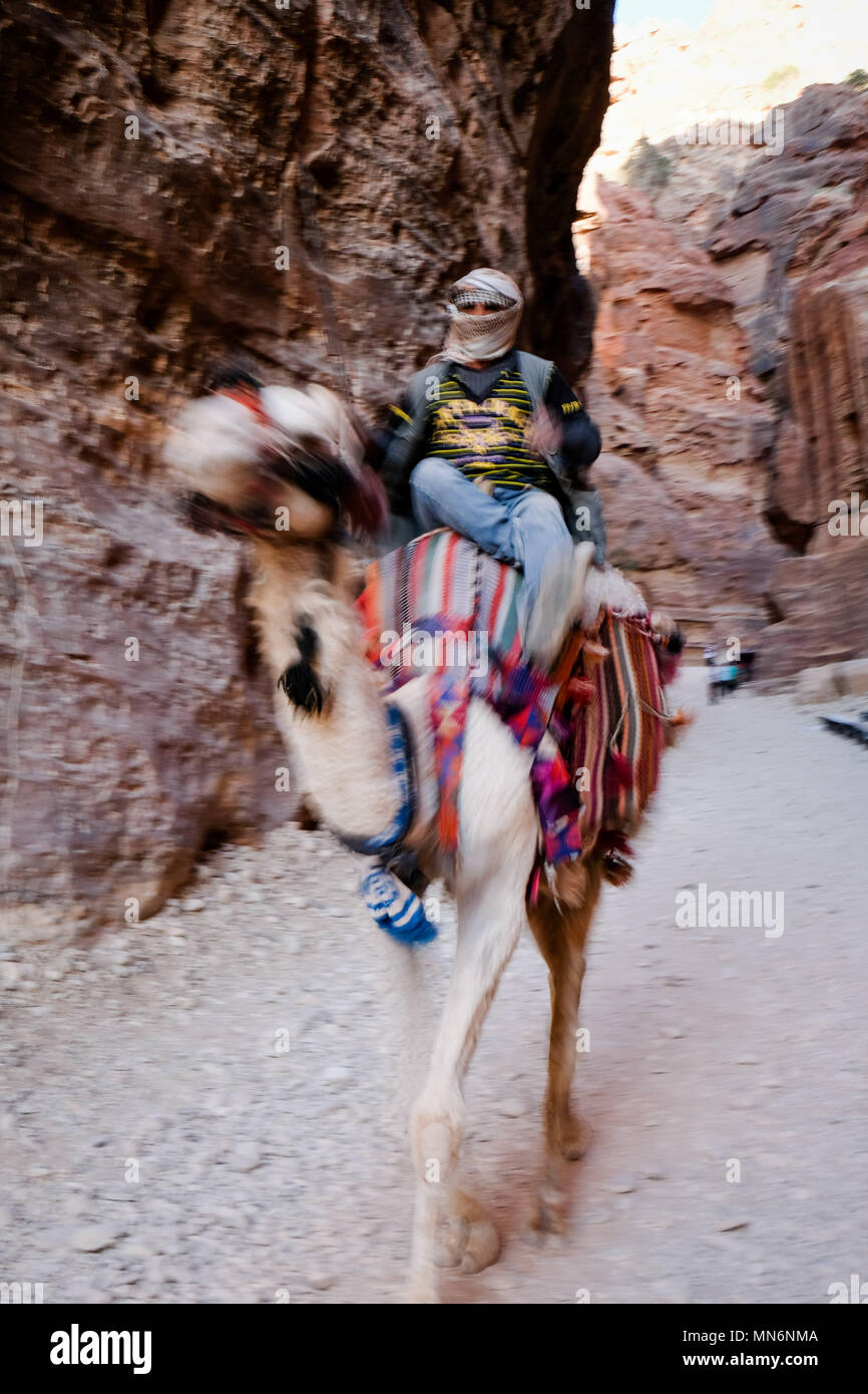 Camel ride through the Siq canyon from one end to another in Petra the UNESCO World Heritage Site Stock Photo