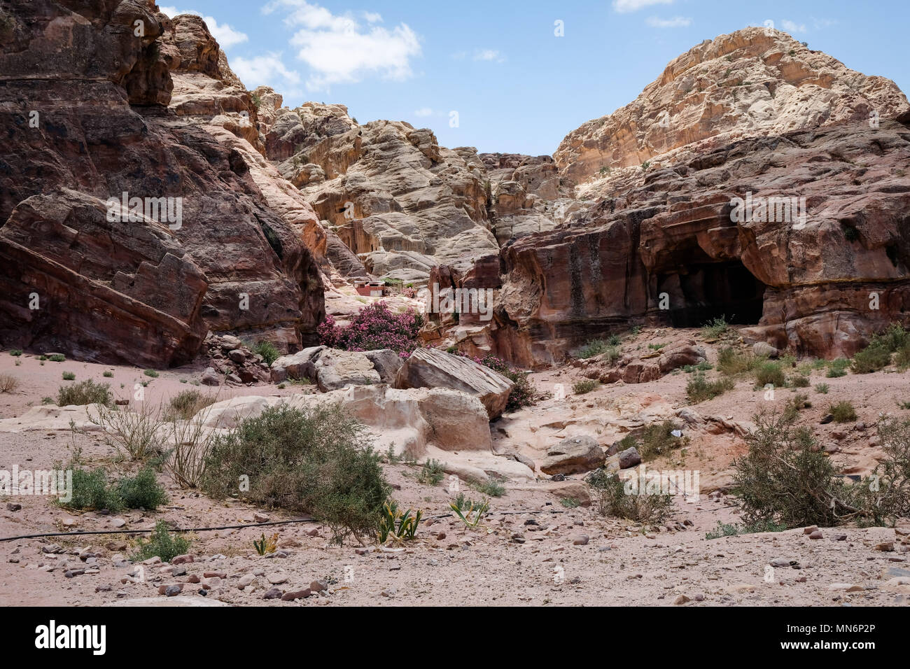 Jordan petra pink city hi-res stock photography and images - Alamy