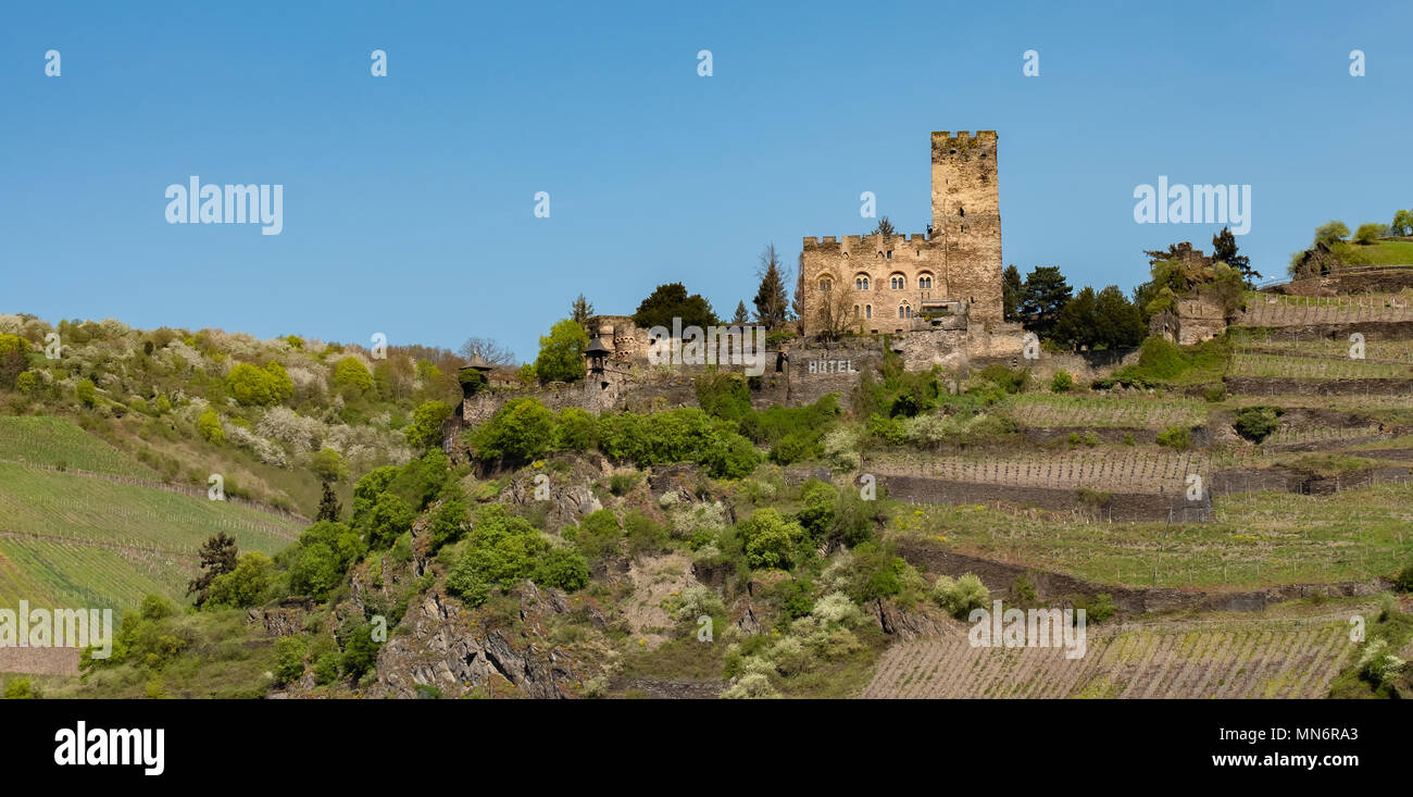 Gutenfels Castle sits high on a hill overlooking the Rhine River near Kaub Germany. Stock Photo