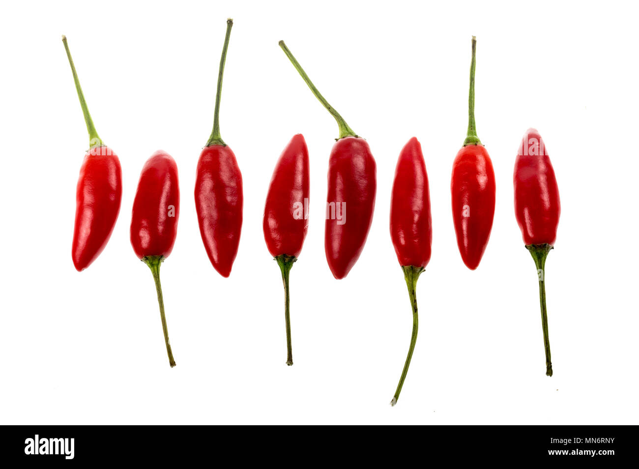 The Birds Eye, or Thai Chili, is a small sized chili pepper cultivar of the species Capsicum