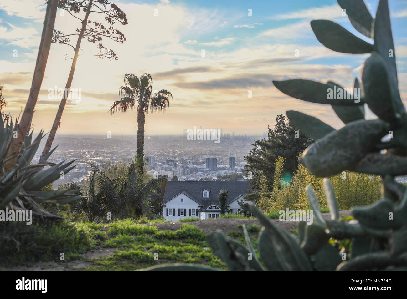 Stunning panoramic morning view of Downtown Los Angeles and Hollywood