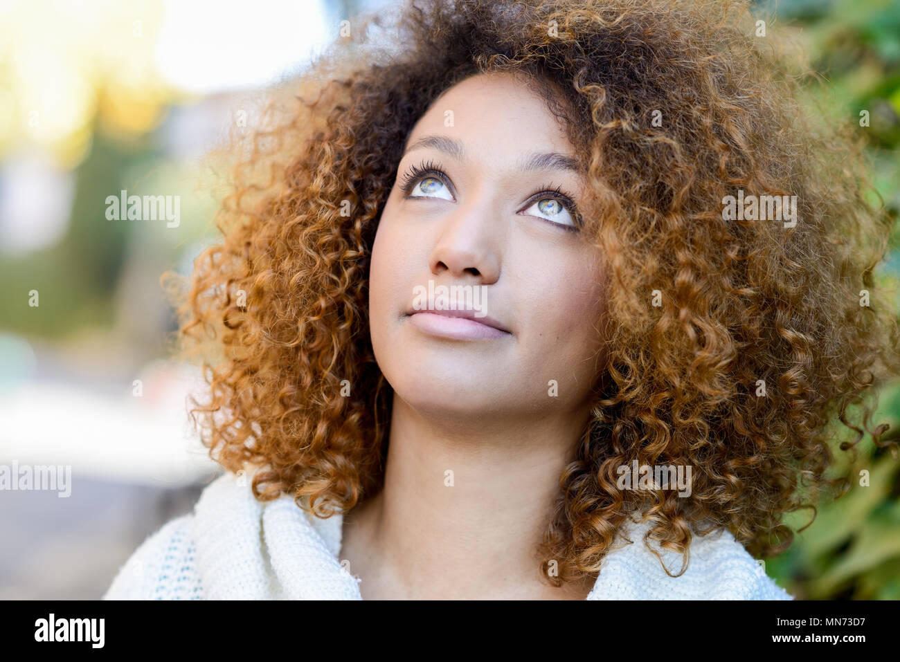Beautiful Young African American Woman With Afro Hairstyle