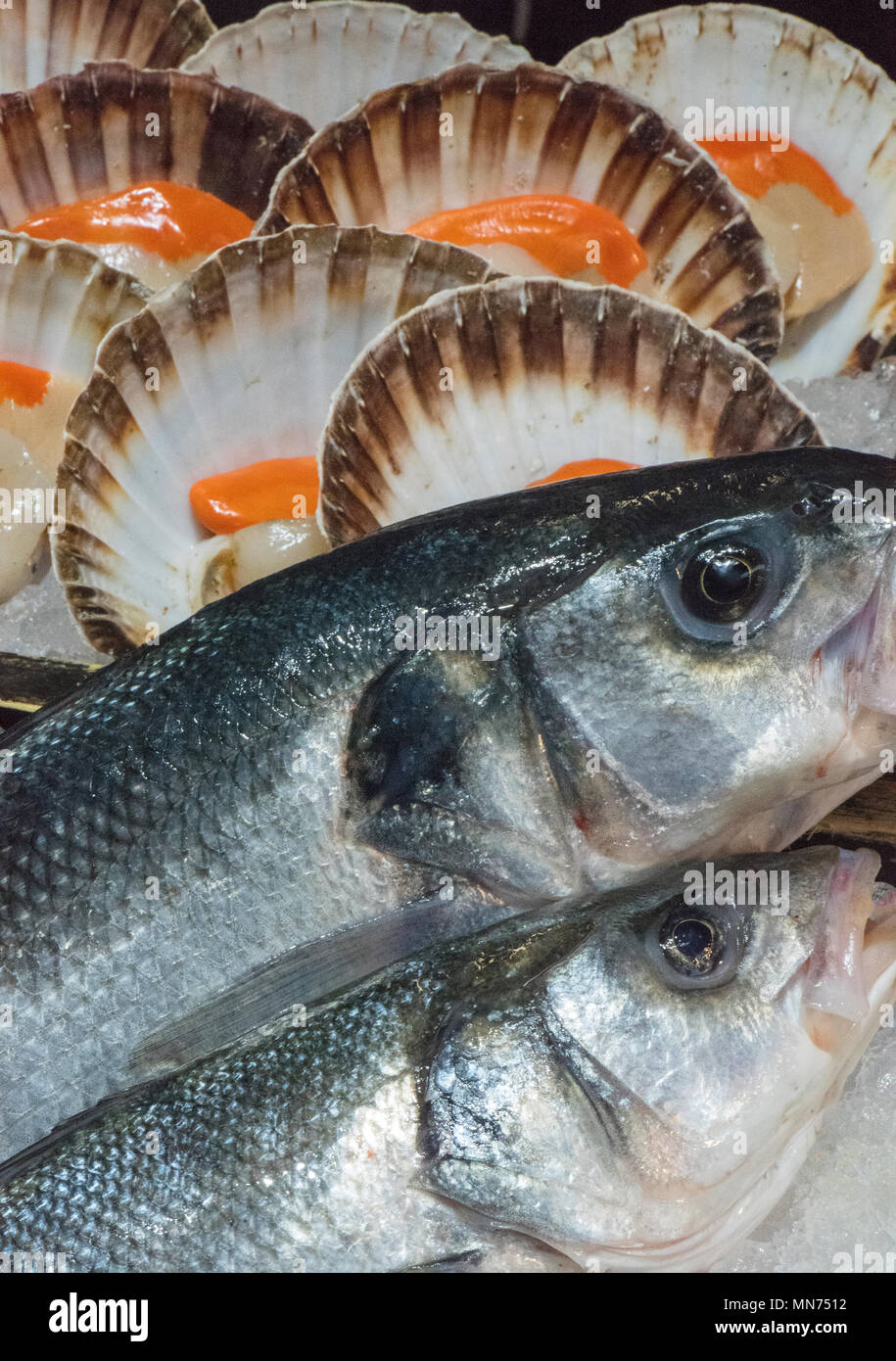 fresh sea bass and scallops for sale on a fishmoners stall on borough