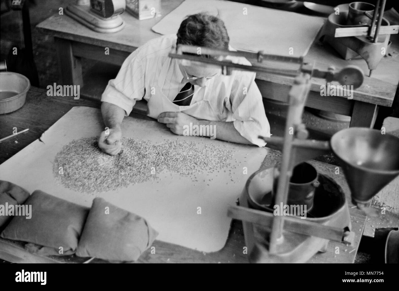Worker Testing for Impurities in Wheat at Grain Inspection Department, Minneapolis, Minnesota, USA, John Vachon for Farm Security Administration, September 1939 Stock Photo