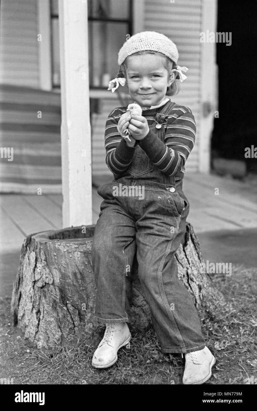 Young Girl Holding Baby Chick, Johnson Vermont, USA,  Arthur Rothstein for U.S. Resettlement Administration, May 1937 Stock Photo