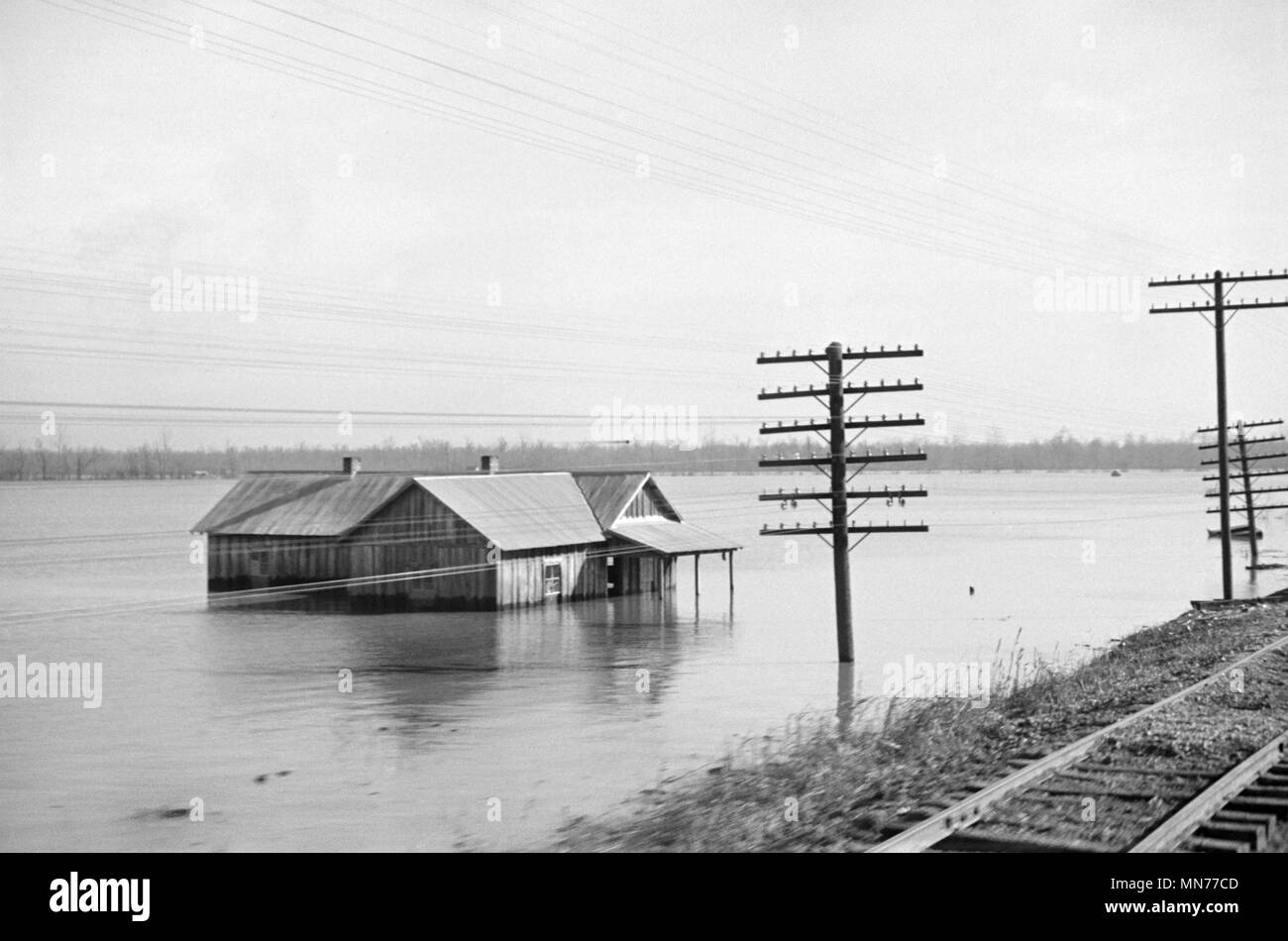 View of Flood from Train en route to Forrest City, Arkansas from Memphis, Tennessee, USA, Edwin Locke for U.S. Resettlement Administration, February 1937 Stock Photo