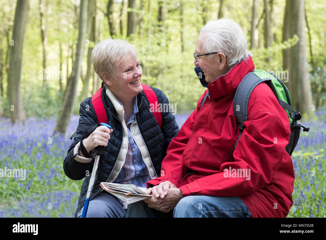 Senior Couple Resting On Walk Through Bluebell Wood Stock Photo