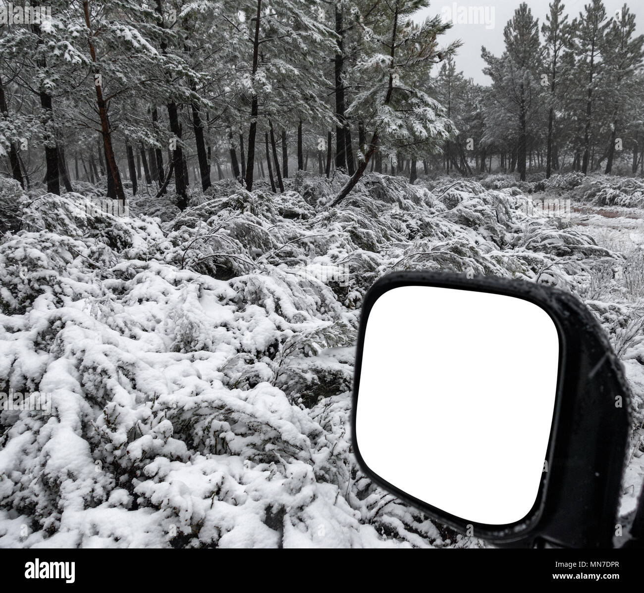 Big 4x4 mirror in winter with snow Stock Photo