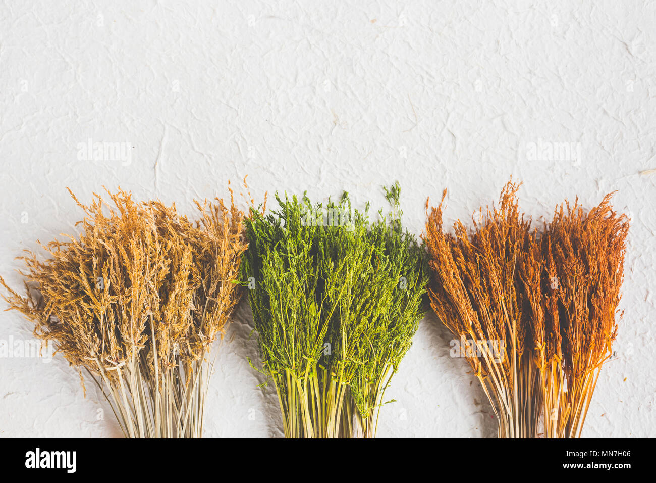 Dried wildflowers on white background. Flat lay style Stock Photo Alamy