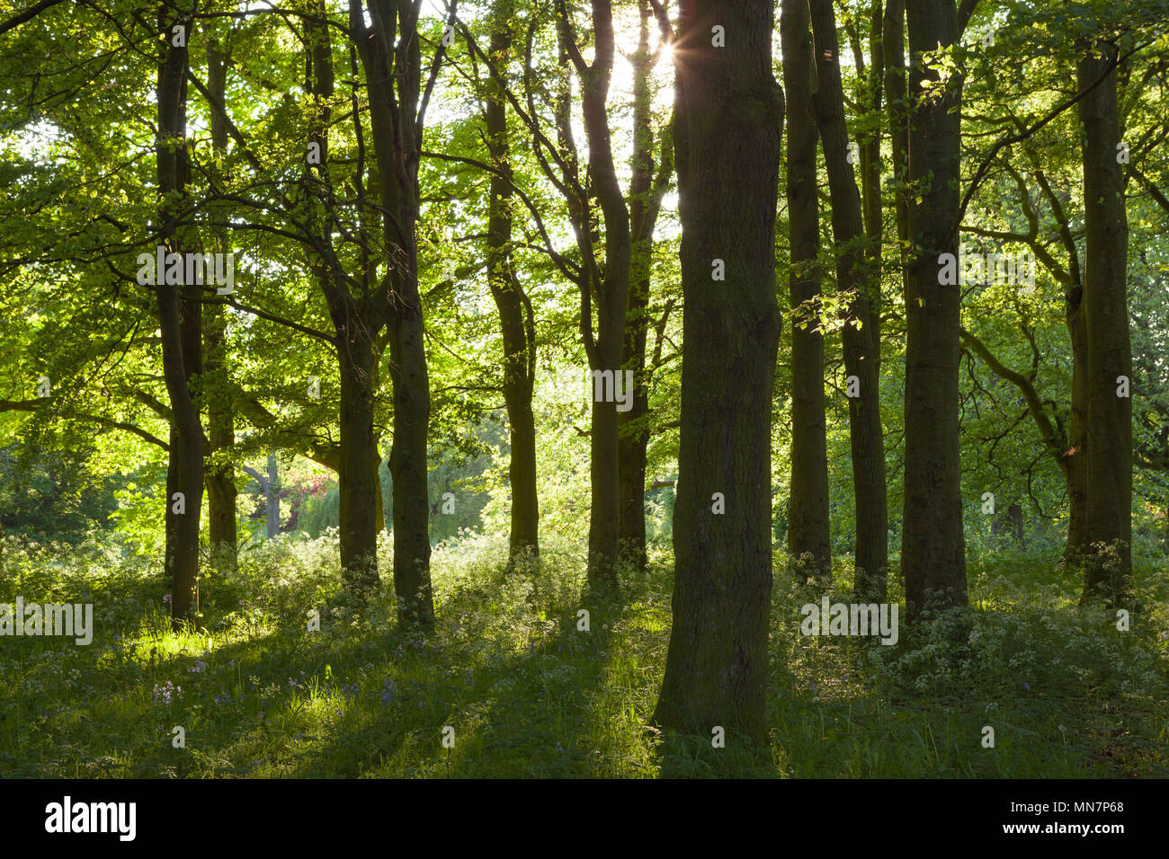 14th may 2018 hires stock photography and images Alamy