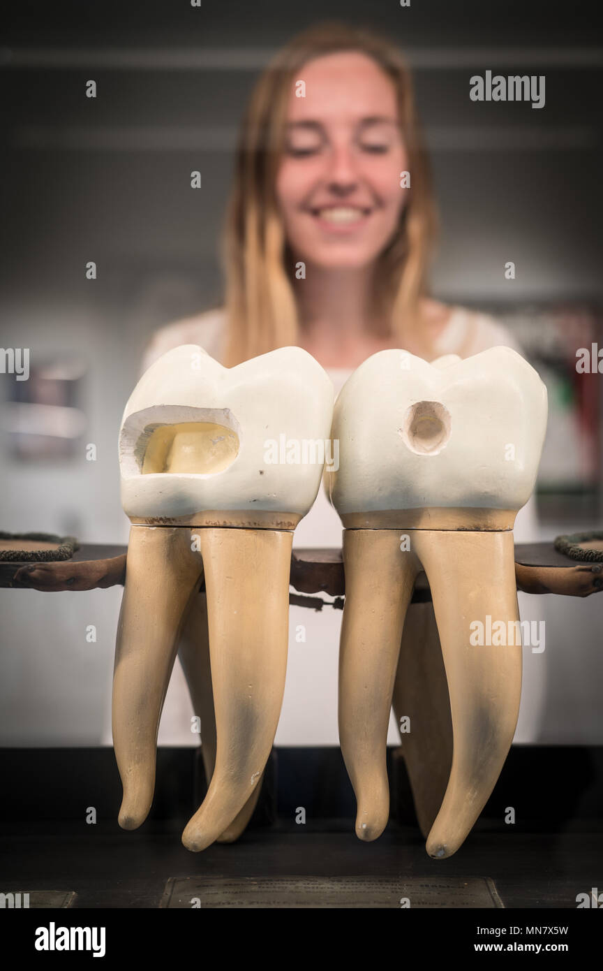 London, UK. 15th May, 2018. An exhibit from 'Teeth', a new exhibition at the Wellcome Collection in London, featuring over 150 objects and opening on May 17. Photo date: Tuesday, May 15, 2018. Credit: Roger Garfield/Alamy Live News Stock Photo