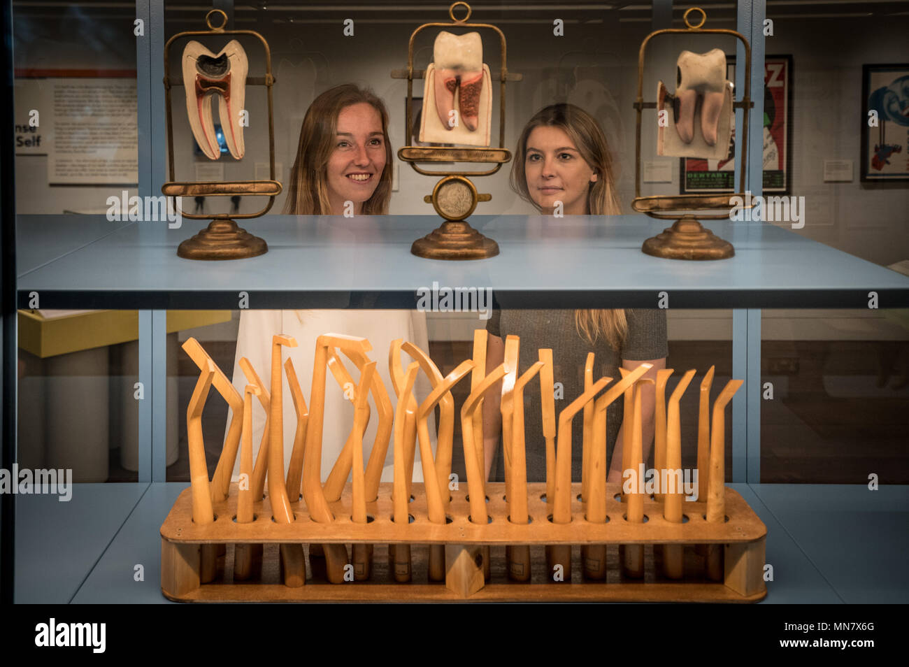 London, UK. 15th May, 2018. Exhibits from 'Teeth', a new exhibition at the Wellcome Collection in London, featuring over 150 objects and opening on May 17. Photo date: Tuesday, May 15, 2018. Credit: Roger Garfield/Alamy Live News Stock Photo