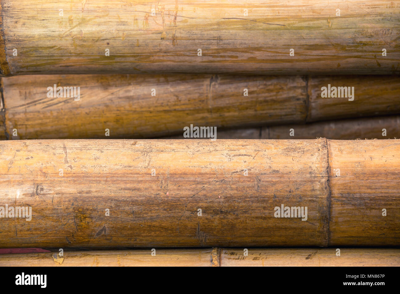 Dry bamboo background Stock Photo - Alamy