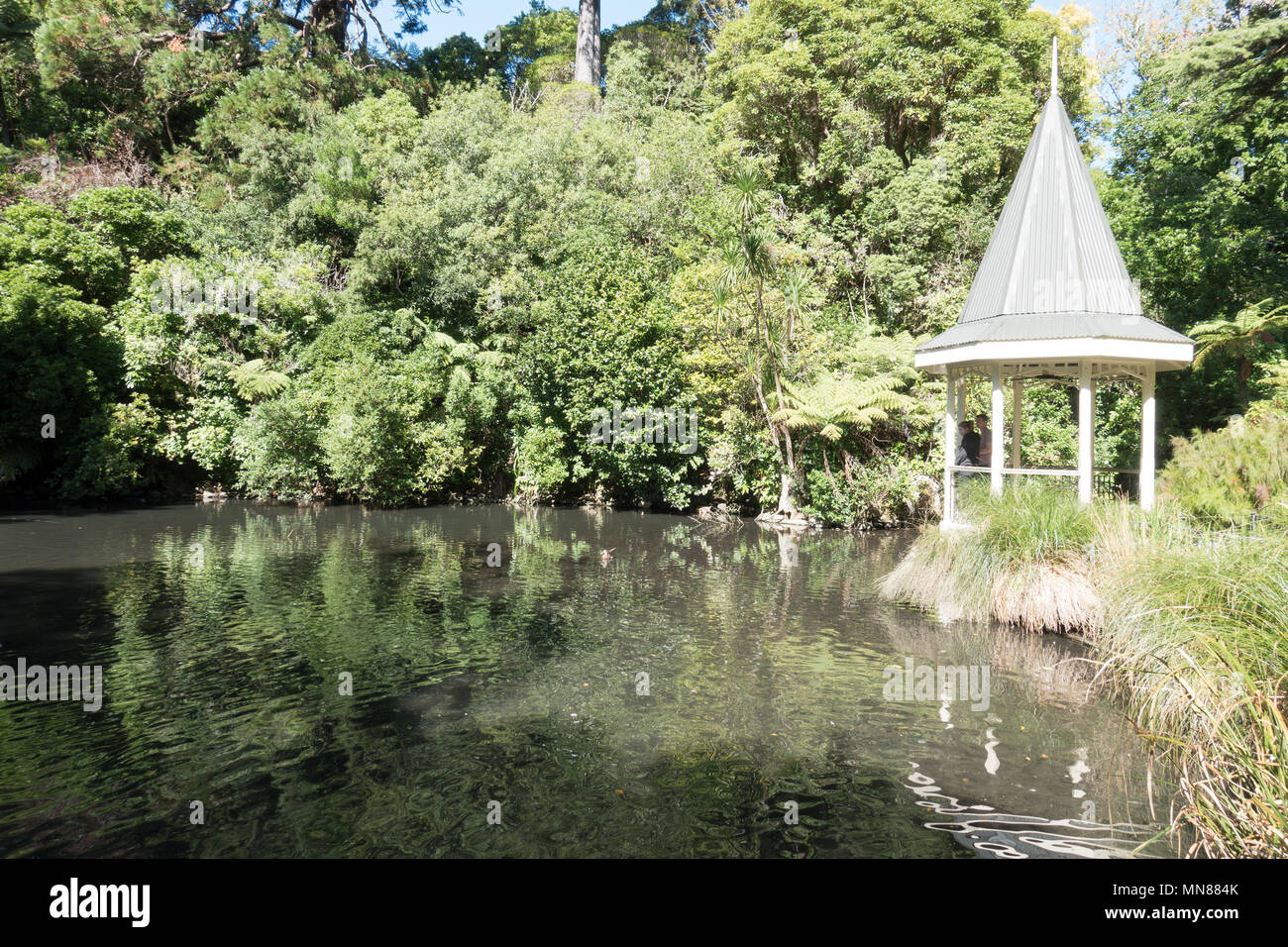 Wellington Botanic Gardens in autumn, Wellington, New Zealand Stock Photo