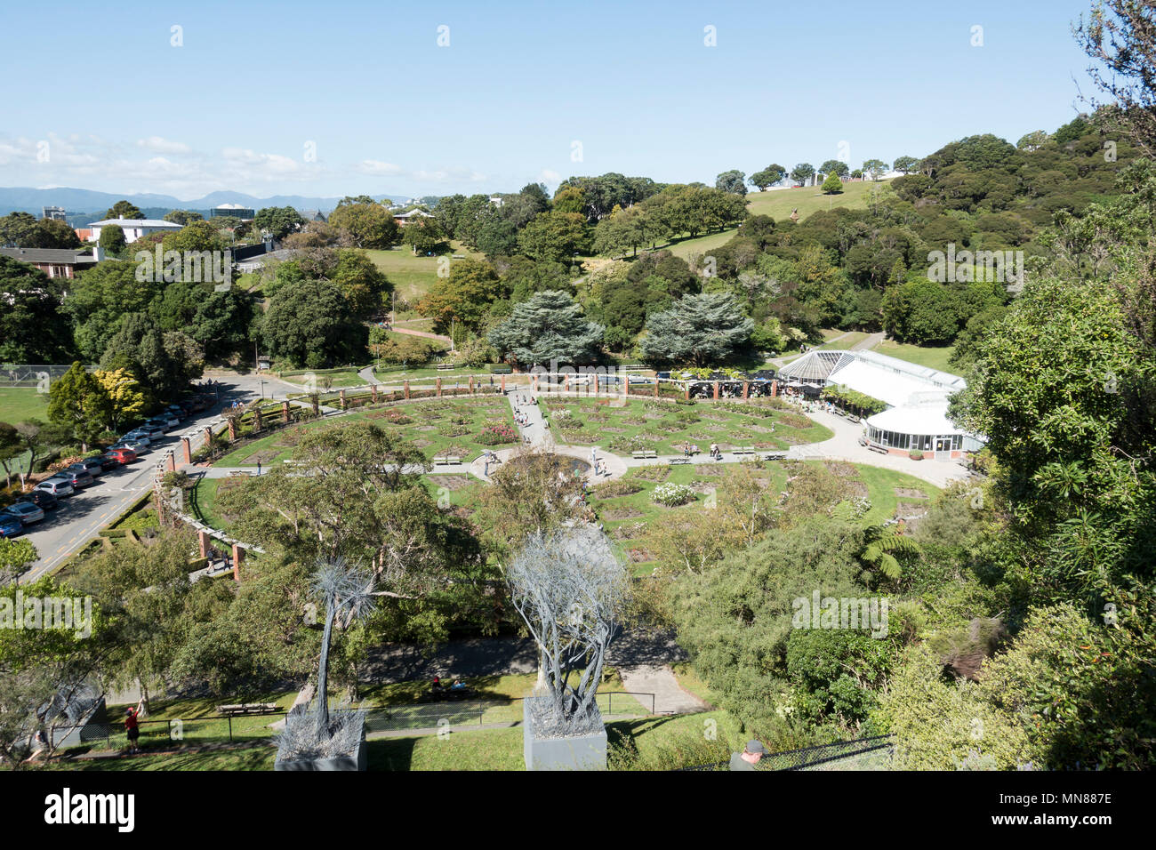 Lady Norwood Rose Garden in Wellington Botanic Gardens in autumn, Wellington, New Zealand Stock Photo