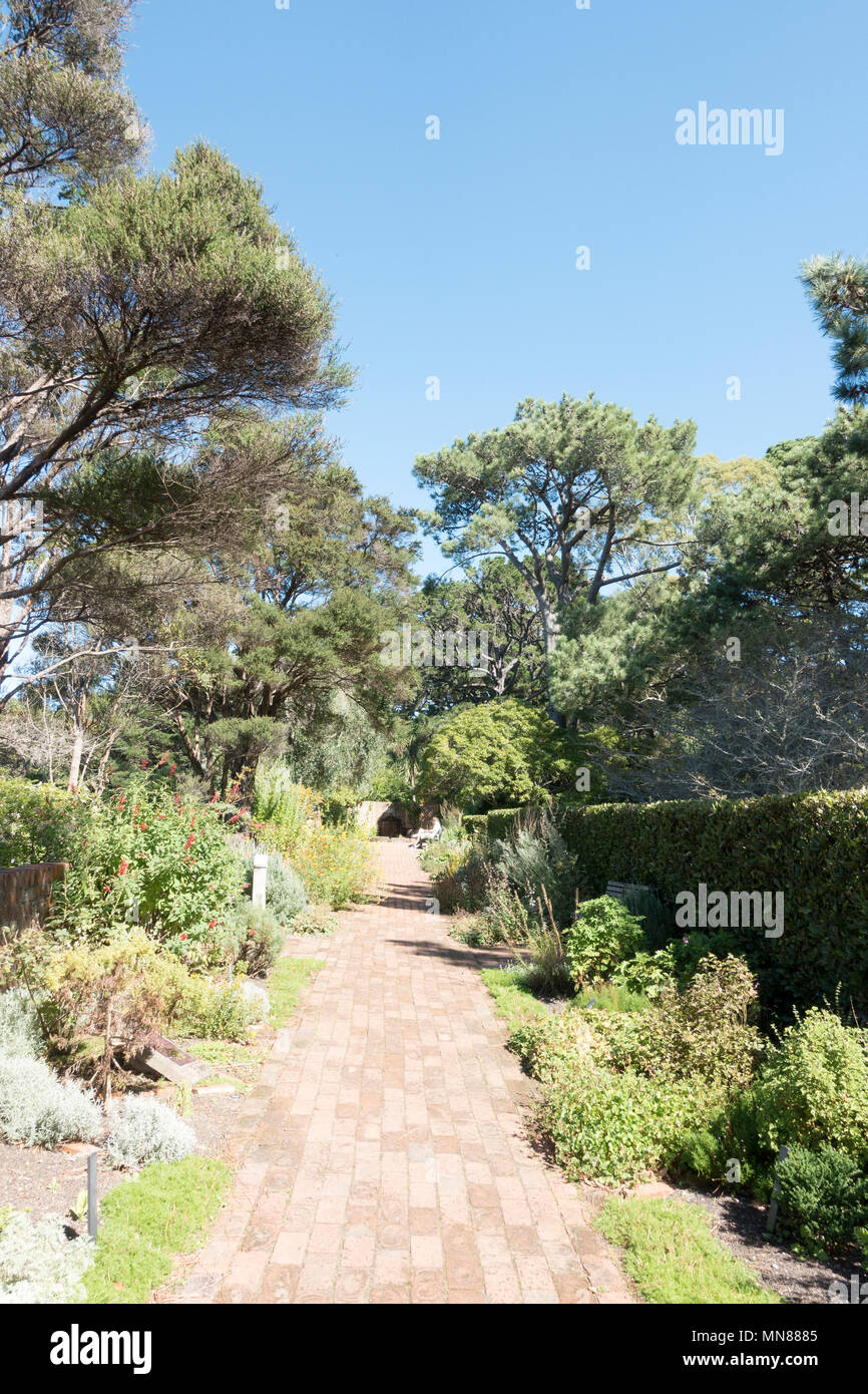 The Herb Garden, Wellington Botanic Gardens in autumn, Wellington, New Zealand Stock Photo